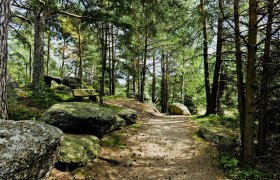 Naturpark Nordwald, © © POV