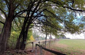 Genusswanderung, © Wienerwald