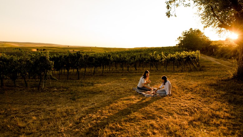 Versteckt zwischen Weingärten, das Picknick genießen., © Weinviertel Tourismus/Doris Schwarz-König