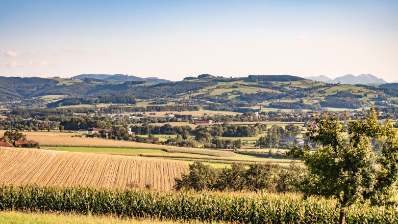 Blick auf St. Peter/Au, © Uschi Wolf