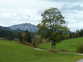 Kleiner Weiher bei Mitterbach, © Mostviertel - OÖ Mariazellerweg