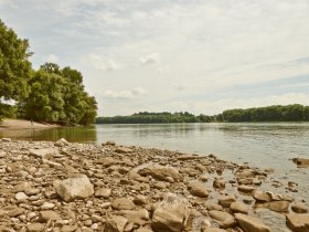 Badestrand bei Donau bei Persenbeug-Gottsdorf, © Donau Niederösterreich / Klaus Engelmayer