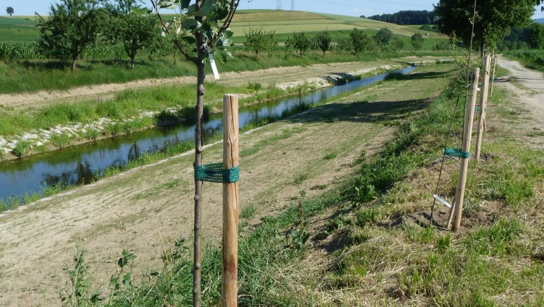 Wildobstlehrpfad, © zVg Gemeinde Ruprechtshofen