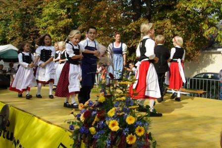 Auftritt beim Weinlesefest, © Gemeinde Tattendorf