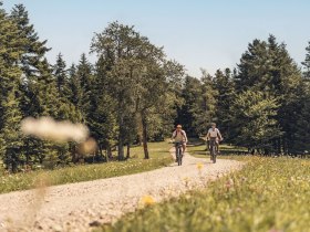 Wiental Elsbeere Tour im westlichen Wienerwald, © Wienerwald Tourismus /Christoph Kerschbaum