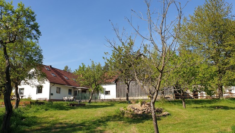 Die Alm/Hof, © Die Alm in Schöllbüchl, Stefanie Reisenberger