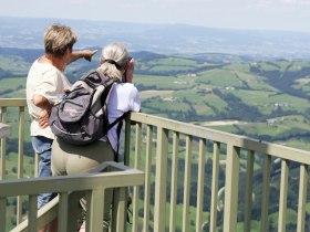 Aussicht vom Prochenberg, © weinfranz.at