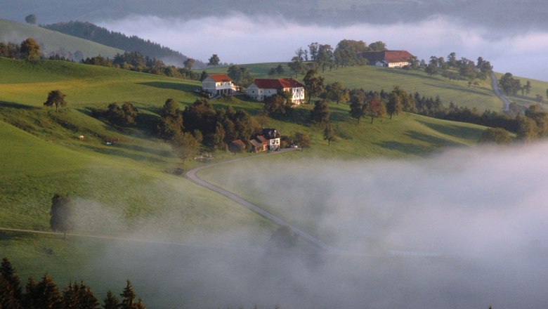 Ertl, Herbstlandschaft, © Franz Krendl-Brunni