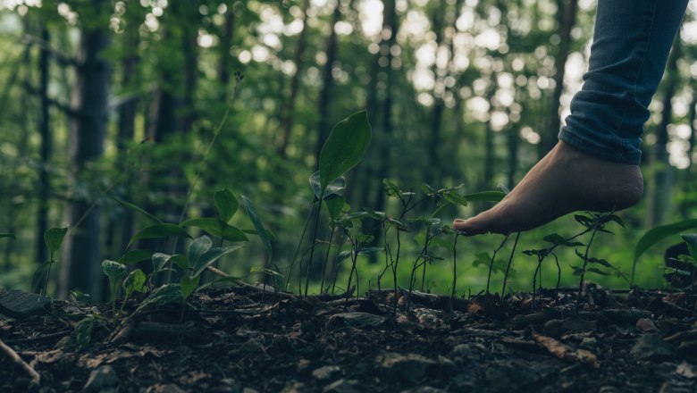 Eine Person steht barfuß am Waldboden