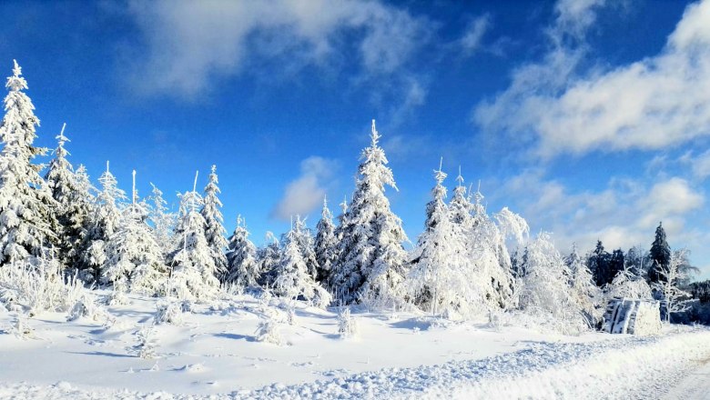 Schneeschuhwanderung, © Steiner