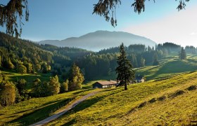 Schoberalm, © ©Wiener Alpen, Foto: Franz Zwickl