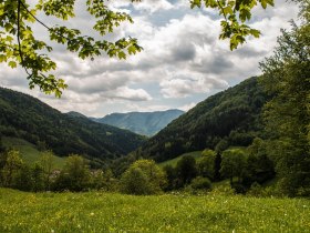 Ausblick oberhalb Kirchensiedlung, © Mostviertel