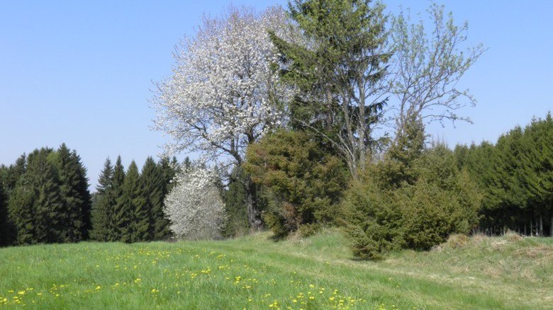 Landschaft um den Bio-Bauernhof Höbarth, © Peter Höbarth