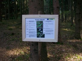 Wildkräuterlehrpfad mit Schritteweg, © Marktgemeinde Bad Großpertholz