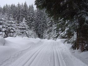 Weinsberg Loipe, © Waldviertel Tourismus