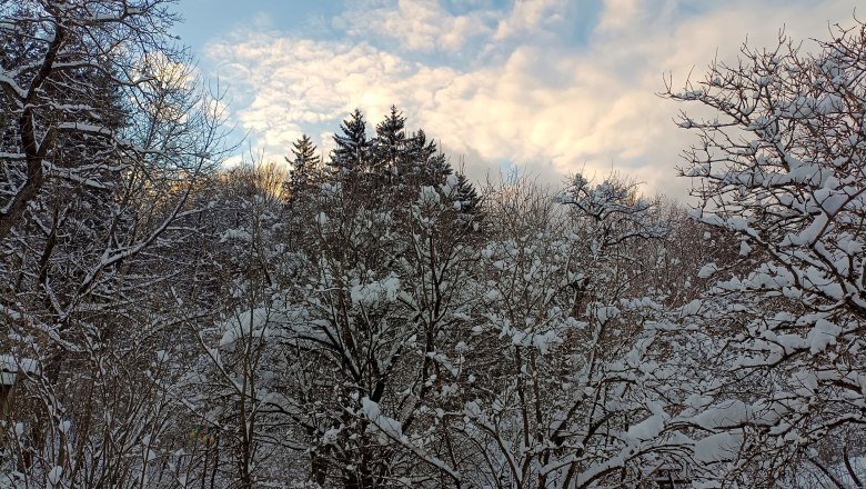 Wunderschöner Winter auf dem 1000Krauthof, © 1000Krauthof