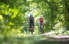 MTB im Wienerwald, © Niederösterreich Werbung / Markus Frühmann