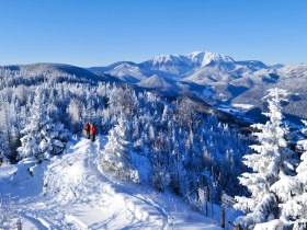 Naturpark Hohe Wand Winterwandern Schneebergblick, © ©Naturparke Niederösterreich / www.pov.at