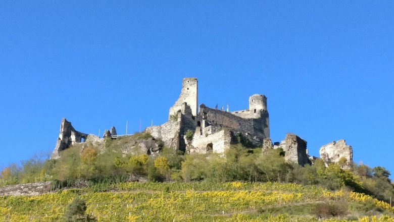 Burgruine Senftenberg - Ansicht aus Senftenberg, © Verein zur Erhaltung der Burgruine Senftenberg