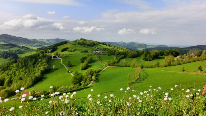 Ausblick Schnabelsteinrunde, © Franz Forstner