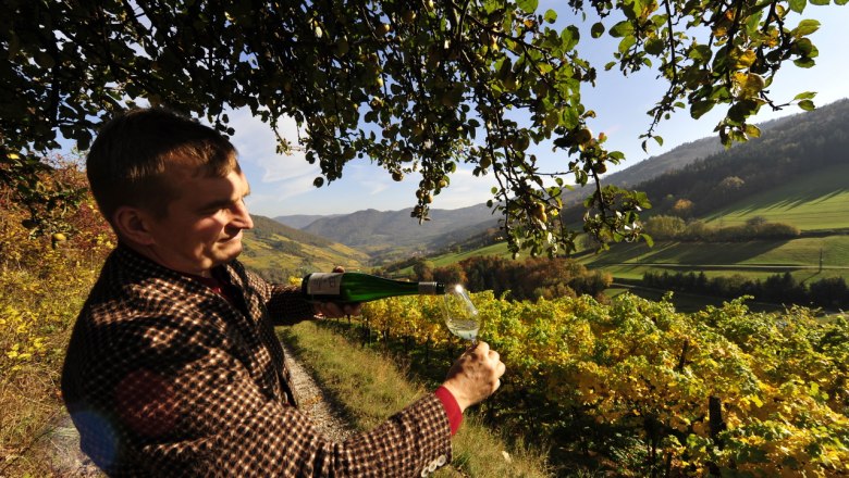 wein-wachau-herbst-nutzungsrechte-vorhanden-c-weingut-graben-gritsch-petr-blaha-60, © Petr Blaha