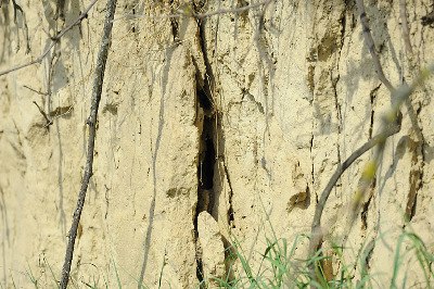 preview_wag_loess_wand_cjosefstefan_20c76f5b9d_1, © josefstefan