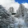 Landsitz Oberhof im Winter, © Landsitz Oberhof