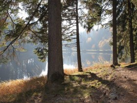 Lichtbergweg, © Gemeinde Bärnkopf