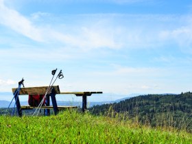 Rast am Halterberg, © Mostviertel