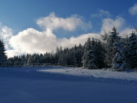 Sonnige Abschnitte im ehemaligen Schigebiet, © Wiener Alpen in Niederösterreich - Wechsel