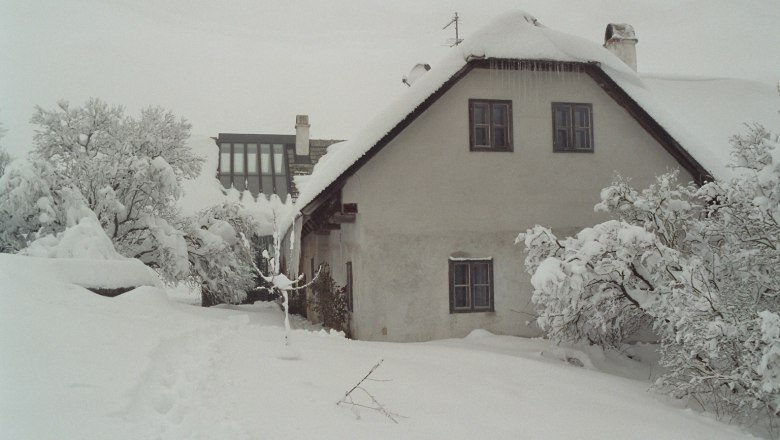 Winter II, © René Prinz