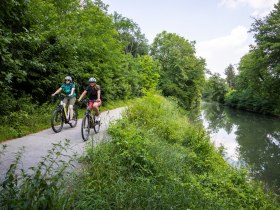 Aulandschaft entlang dem Triestingauradweg, © Velontour_Heiko Mandl