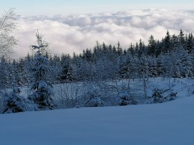 Beim Speicherteich, © Wiener Alpen in Niederösterreich - Wechsel