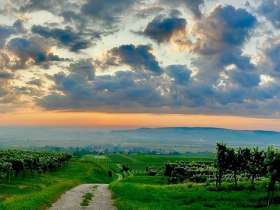 Panoramablick ins Traisental, © Walter Pernikl