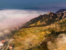 Dürnstein im Nebel, © Donau NÖ Tourismus/Robert Herbst