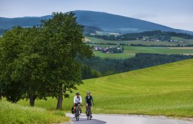 Gravelbiken in der Buckligen Welt, © Niederösterreich Werbung Stefan Mayerhofer