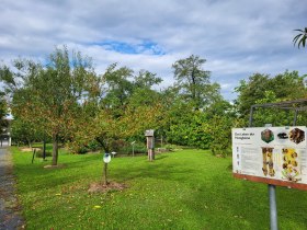 Alchemistenpark Kirchberg am Wagram, © Donau Niederösterreich - Kamptal-Wagram-Tullner Donauraum