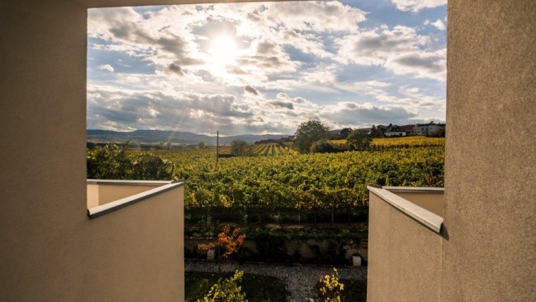 Ausblick auf die Weinberge, © Wein-gut Hutter