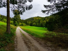 Traunfellnerweg, © Gottfried Grossinger