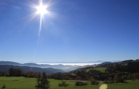 Panorama bei Schneeberg, © Martina Fuchs-Köck