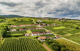 Wald- und Weinweg, © POV