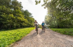 MTB Wienerwald, © Wienerwald Tourismus GmbH / Christoph Kerschbaum