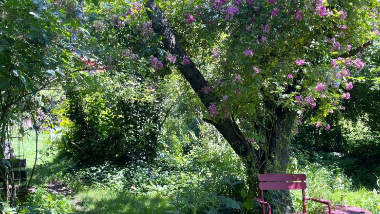 Dornröschen Garten, © "Natur im Garten"