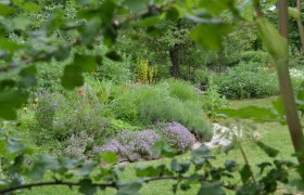 Kräuterkraft im Garten, © Monika Vesely