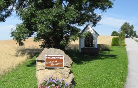 Mohnhofweg - Mohnmuseum, © Waldviertel Tourismus