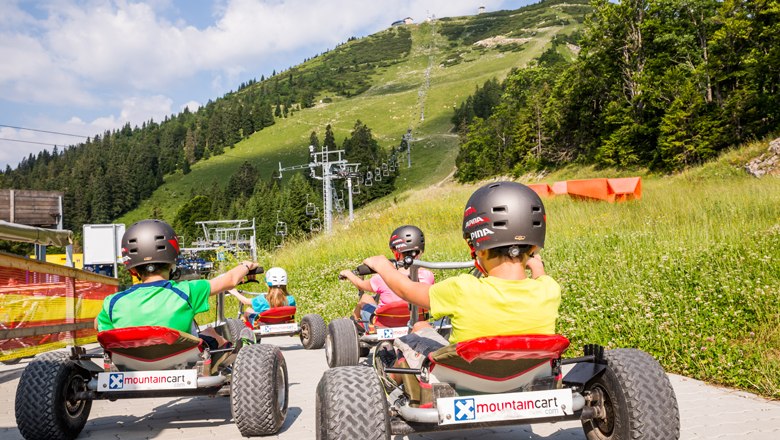 Mit den Mountaincarts geht's flott ins Tal, © Lindmoser