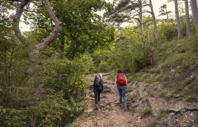 Wandern im Wienerwald, © Wienerwald / Studio Kerschbaum