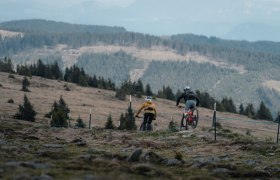 Hochwechsel Gipfeltour über die Vorauer Schwaig | Tourentipp der Wexl Trails in St. Corona am Wechsel, © Wexl Trails