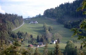 Puchenstuben - Brandeben - Wastl am Wald, © Mostviertel