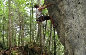 Natur pur im Schluchtenweg, © Ybbstal Climbing